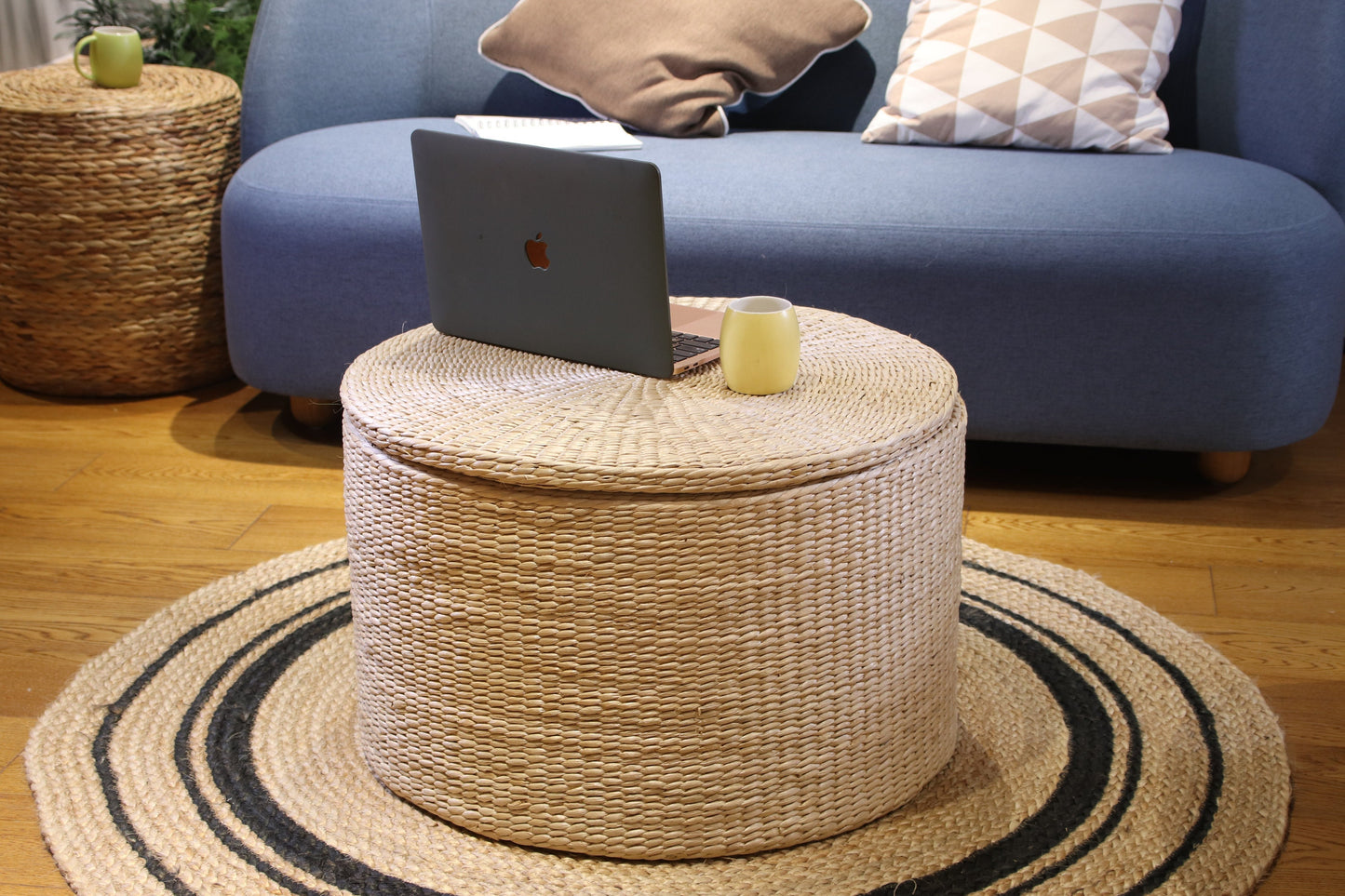 Round storage coffee table