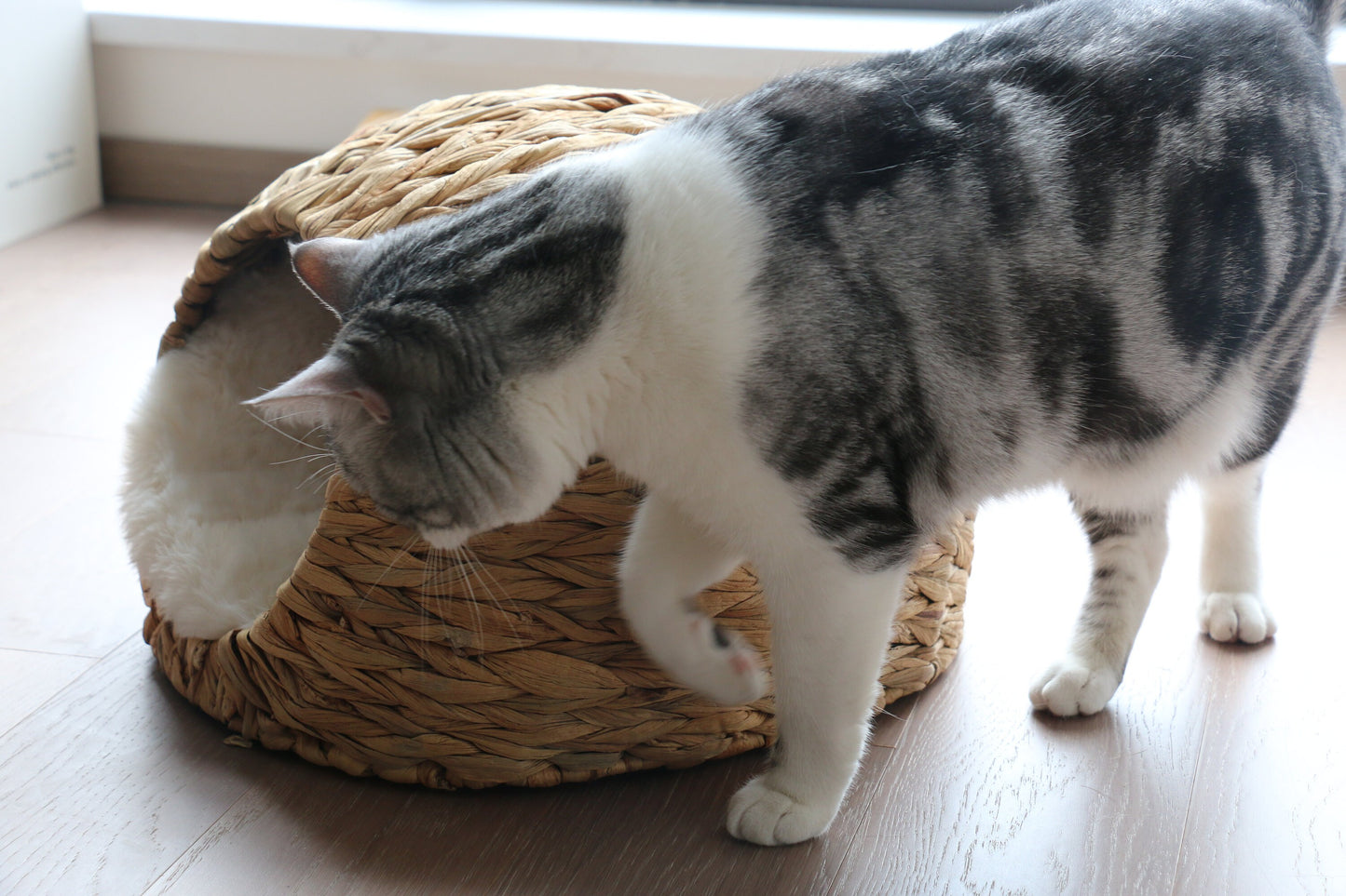 Rustic straw cat house/water hyacinth pet bed