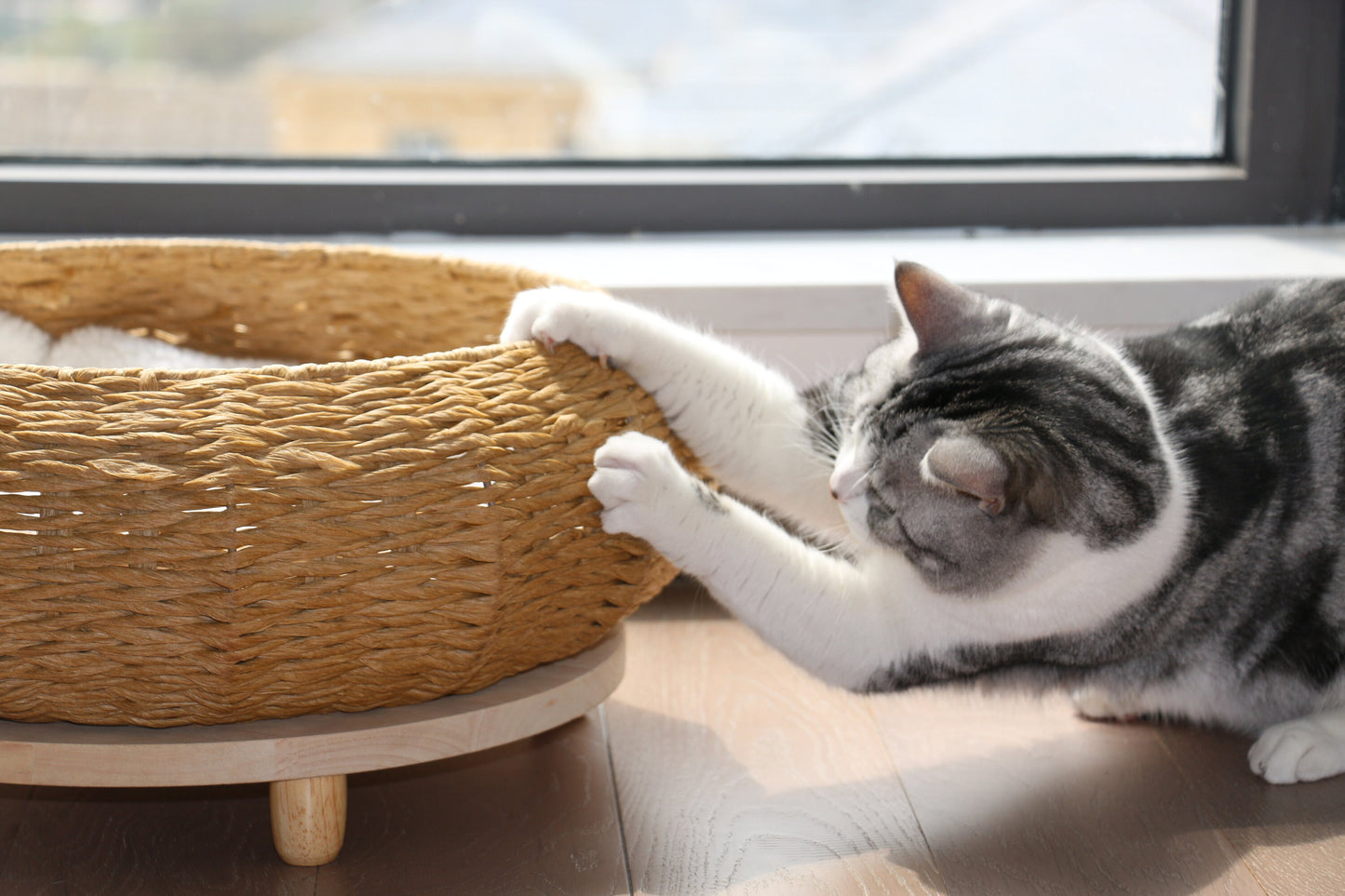 Rustic round cat bed with wood base