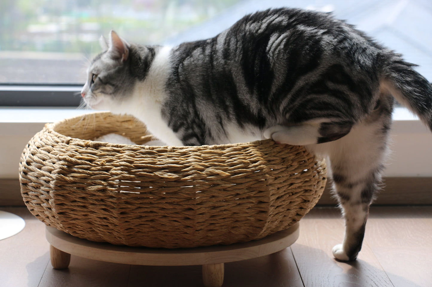 Rustic round cat bed with wood base