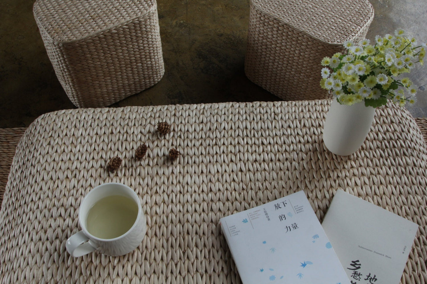 Beige Rustic coffee table and cushions set